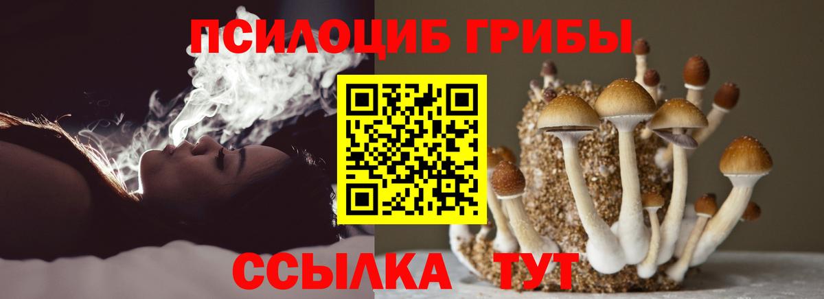 Псилоцибиновые грибы GOLDEN TEACHER  Вход с VPN  Мелеуз  Псилоцибиновые грибы Cubensis 